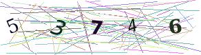 Access Code (numeric)